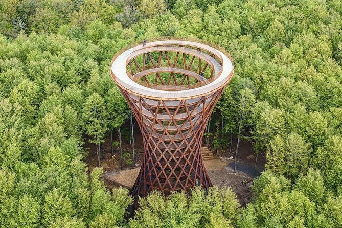 The Forest Tower and Forgotten Giants-A day tour from Copenhagen - Key highlights worth showing up for