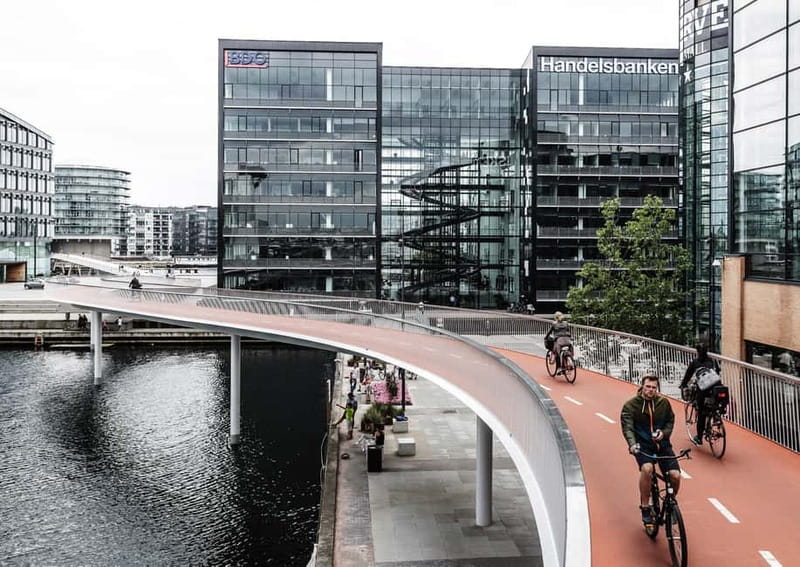Urban Design and Livability E-bike Tour - Copenhagen Opera House waterfront: a modern landmark with real attitude